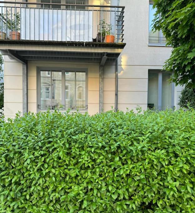 Gemuetliches Apartment Im Herzen Detmolds Exterior photo